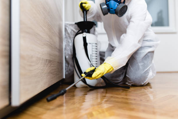 Best Wasp Removal Services  in New Johnsonville, TN