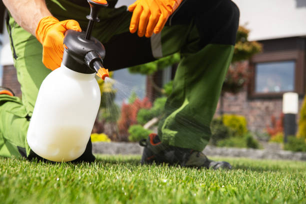 Best Exterminator Services  in New Johnsonville, TN