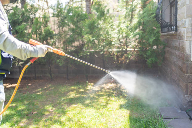 Best Best Pest Control Companies  in New Johnsonville, TN