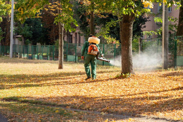 Best Pest Prevention Services  in New Johnsonville, TN