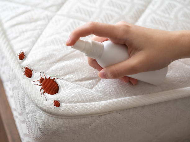 Best Best Pest Control Companies  in New Johnsonville, TN