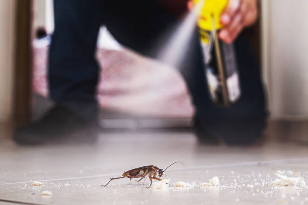 Best Ant Control Services  in New Johnsonville, TN