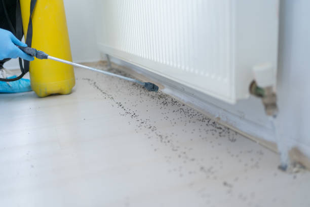 Best Mosquito Control Services  in New Johnsonville, TN