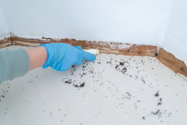 Trusted New Johnsonville, TN Pest Control Experts